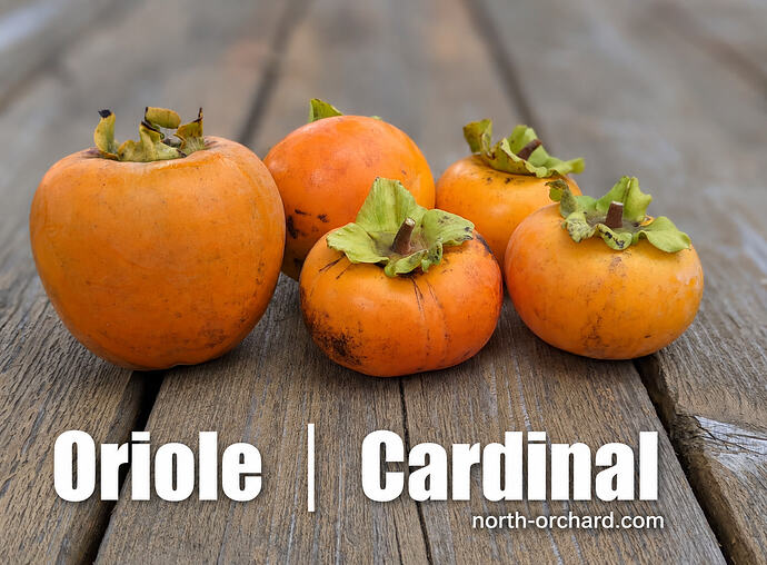 Oriole and Cardinal fruit display_url