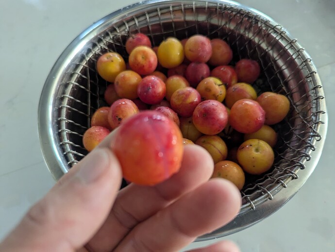 PXL_20250821_123432935