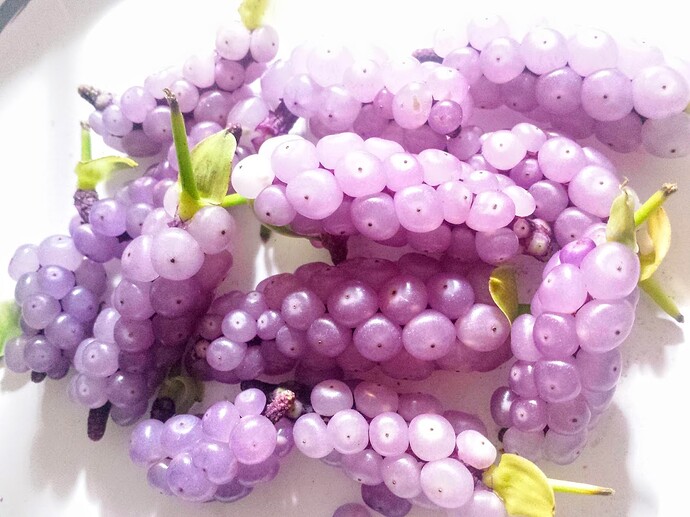 20190503_203653