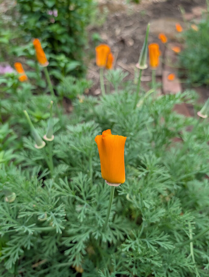 PXL_20260429_013124687