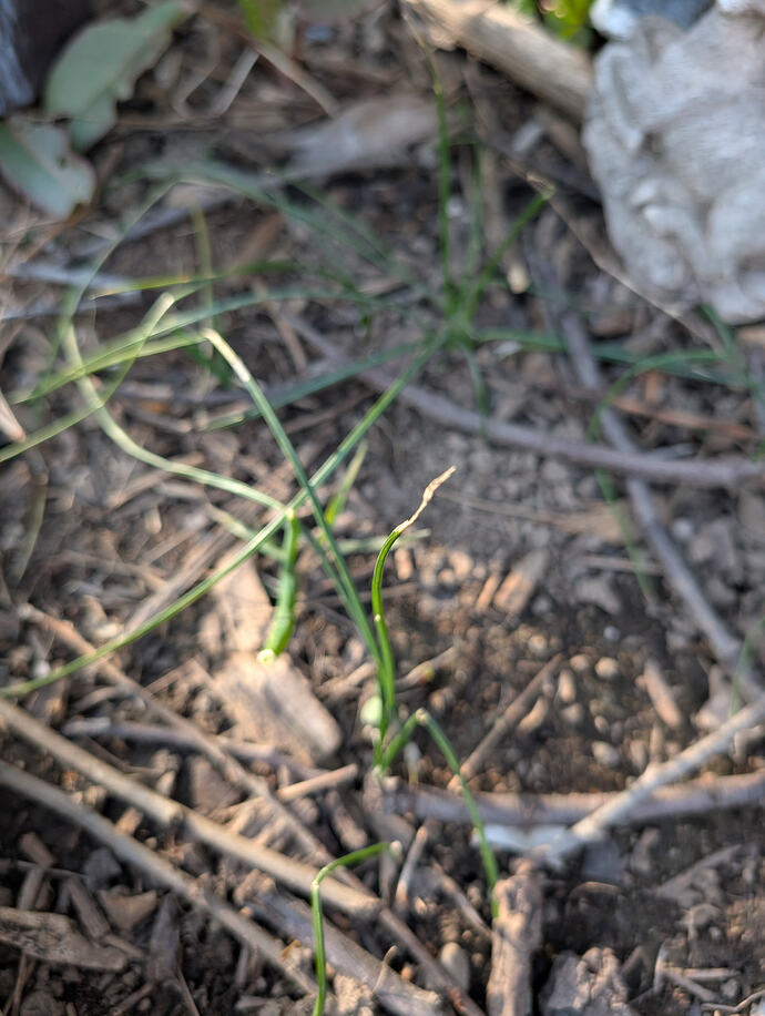 PXL_20260330_004441538