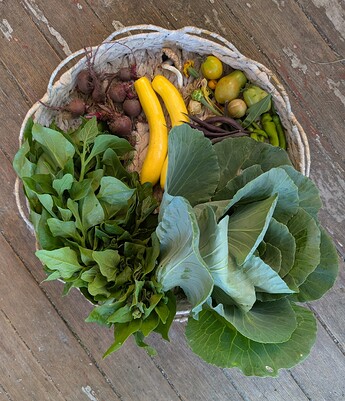 PXL_20250805_023757943