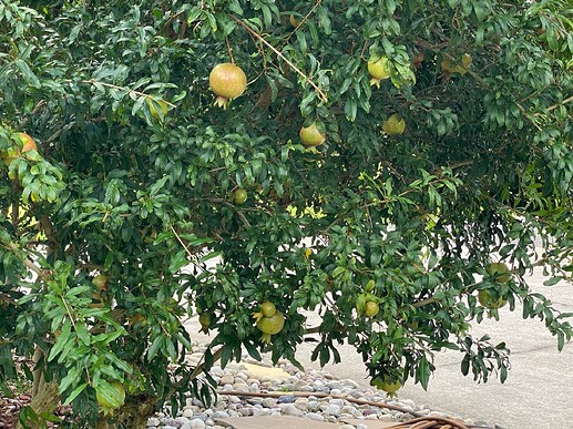 Granada - Aug 3 2025