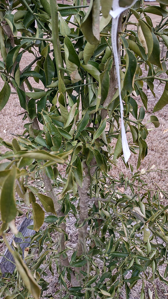 IMG_20260211_132742837_HDR