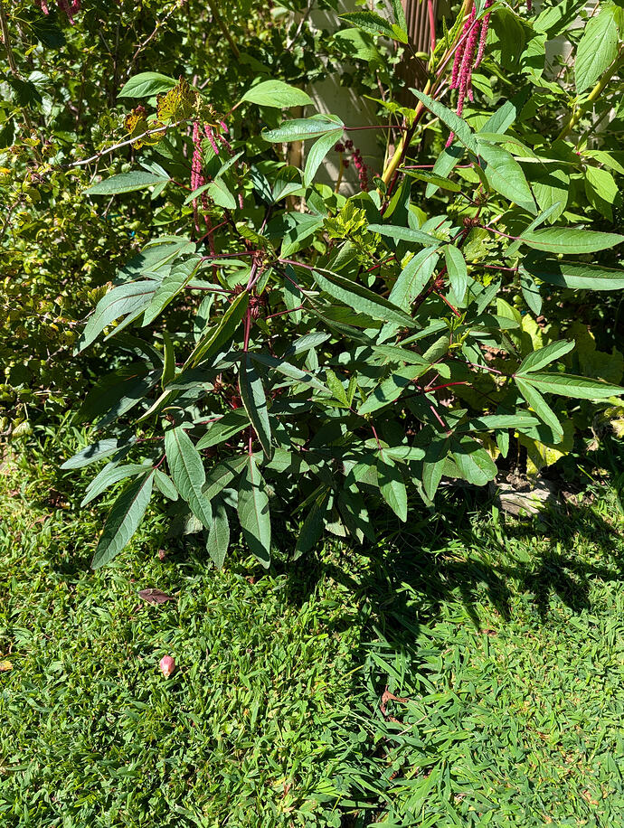 PXL_20260903_182122981
