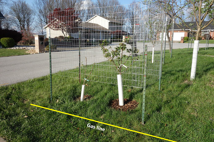 2 apricots in  hole (3) ut 4.13.26 gas pipe