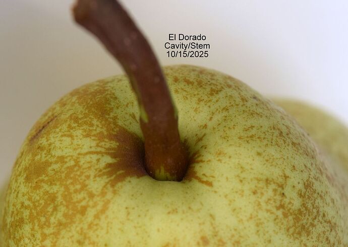 El DoradoCavity10-15-2025JPGRS