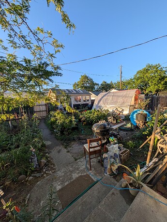 PXL_20250630_030001784