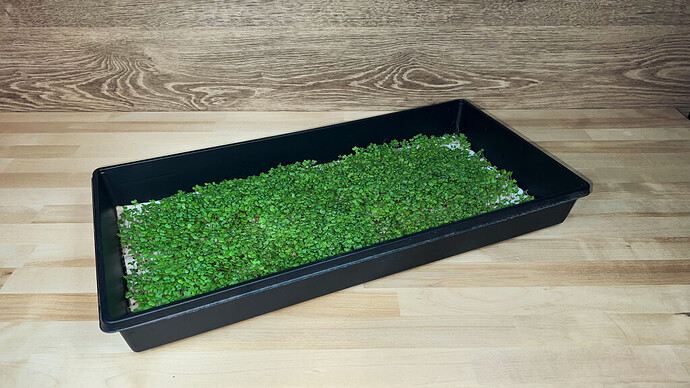 How to Grow with BioStrate® - General Gardening - Growing Fruit