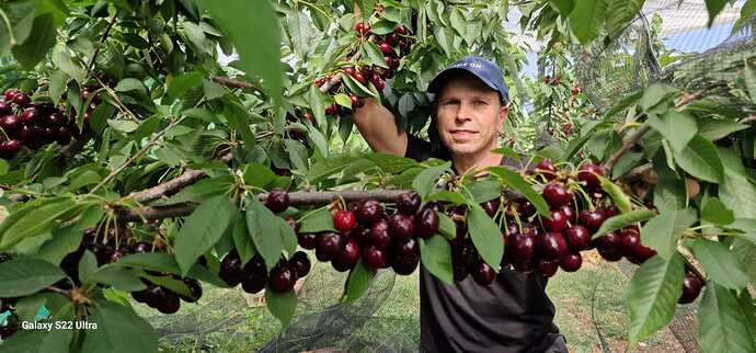 IMG-20250327-WA0000 (1)