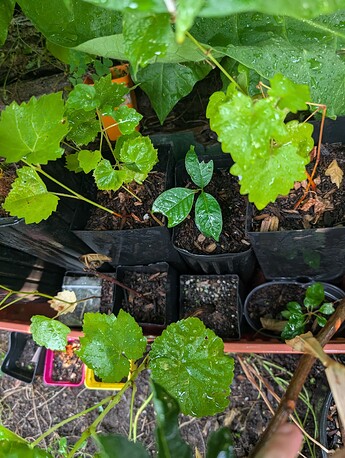 PXL_20250908_003639689