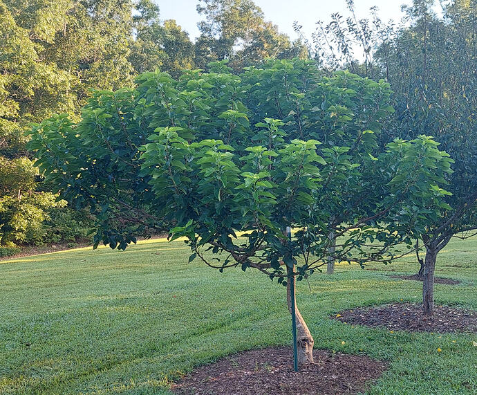 20260806_072622