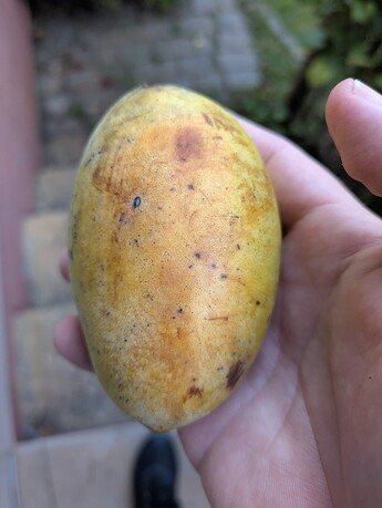 PXL_20250724_001652384