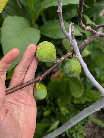 PXL_20250806_194507770