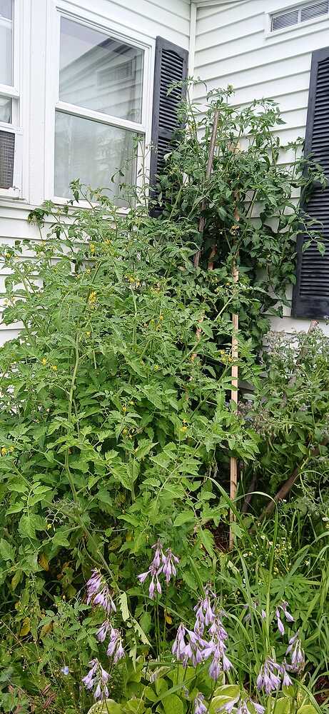 504939428_24207780272152806_1585911812558072139_n