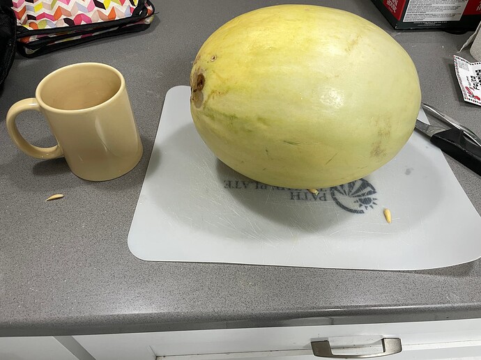 Stuz supreme crenshaw