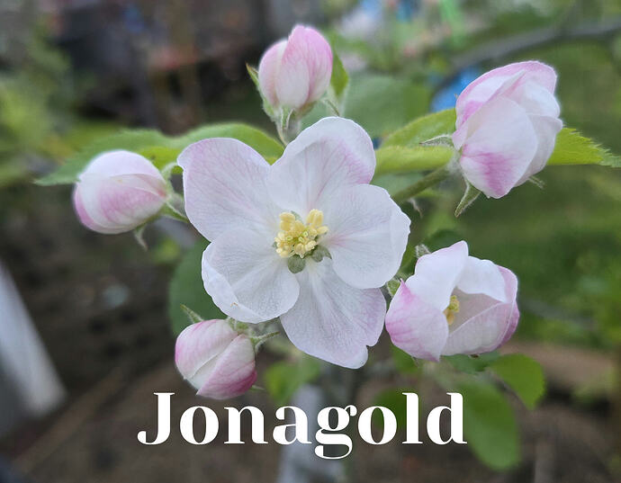 20260408_065316_edit_1775656846770