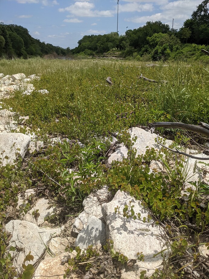 PXL_20210508_180353772