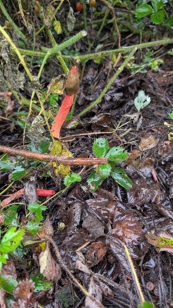 PXL_20250812_114416034