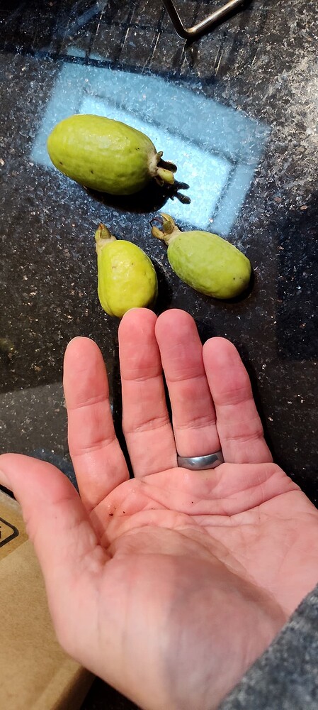 IMG_20251116_144250304