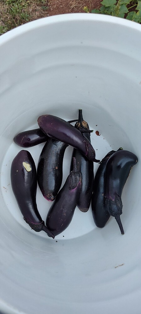 IMG_20250821_194646098_HDR