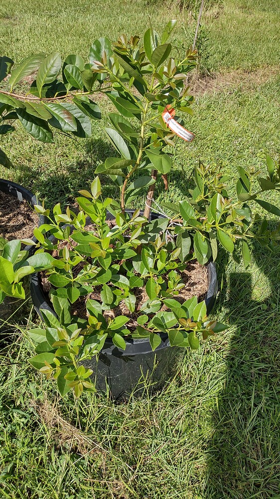 IMG_20250707_094404641_HDR