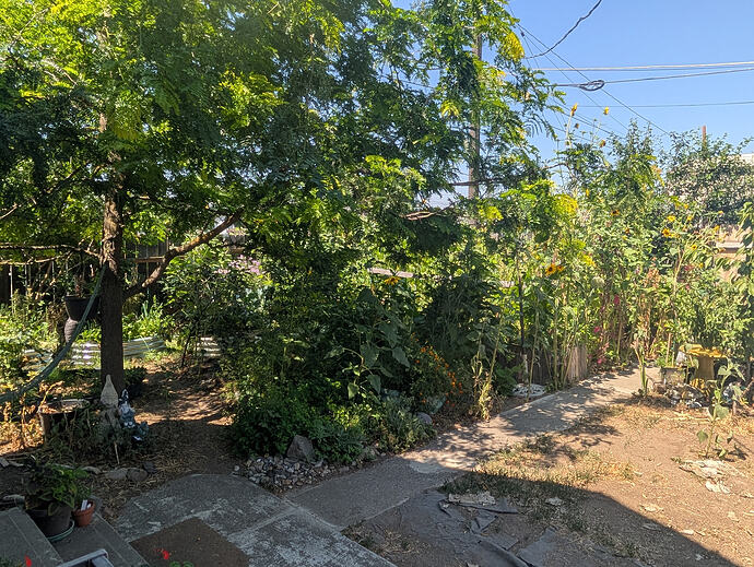 PXL_20260724_195829077