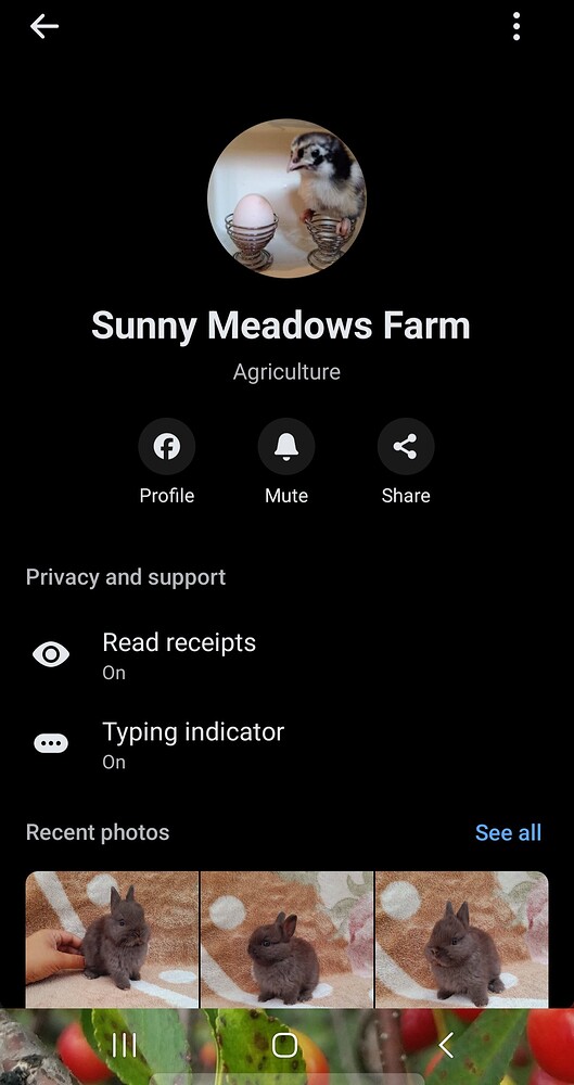 Screenshot_20260301_164923_One UI Home