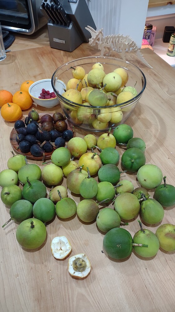 IMG_20251110_175506056