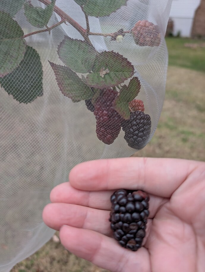 PXL_20251125_164737769