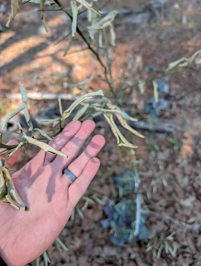 PXL_20260201_200228307