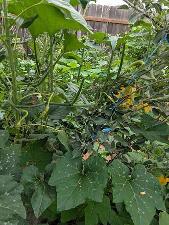 PXL_20250806_174452898