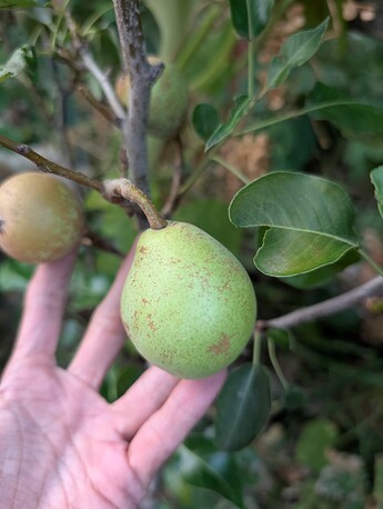 PXL_20250914_014006933