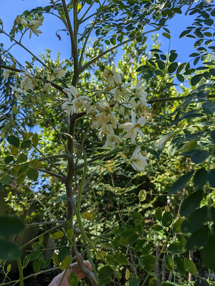 PXL_20251101_131535629