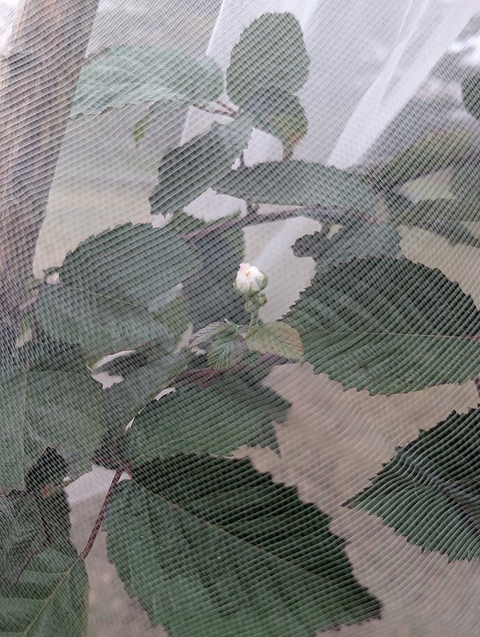 PXL_20251125_164746417