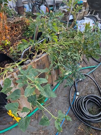 PXL_20250908_003711217