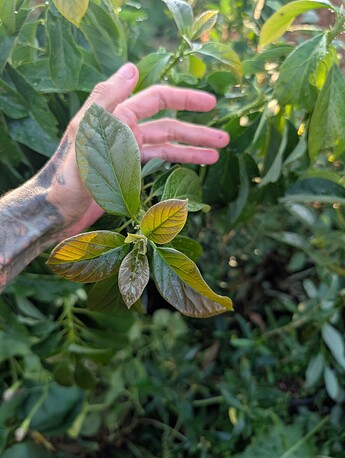 PXL_20250908_003616974