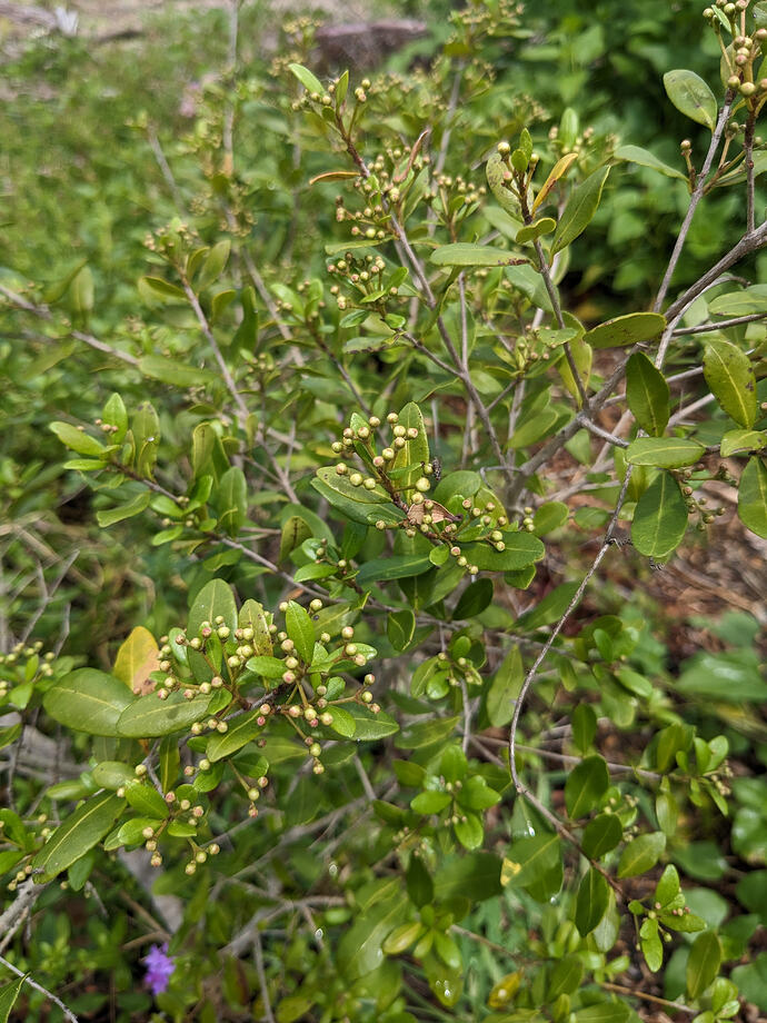 PXL_20260419_130033488