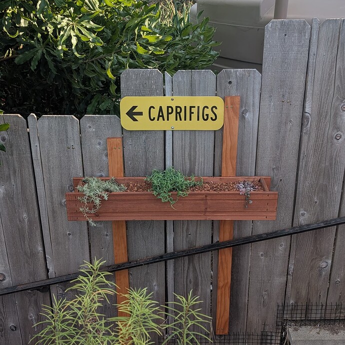 PXL_20251025_235318195