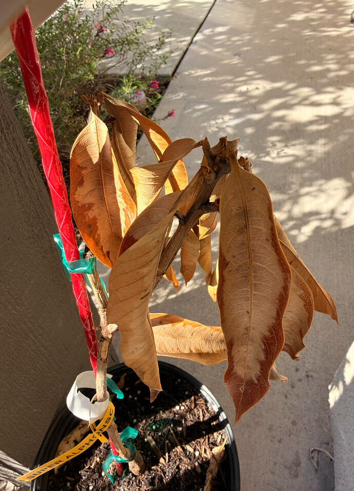 Screenshot 2026-02-28 at 1.17.43 PM