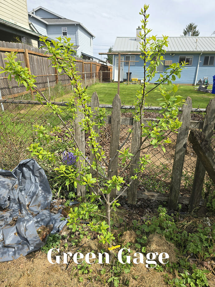 20260410_141548_edit_1775858265390