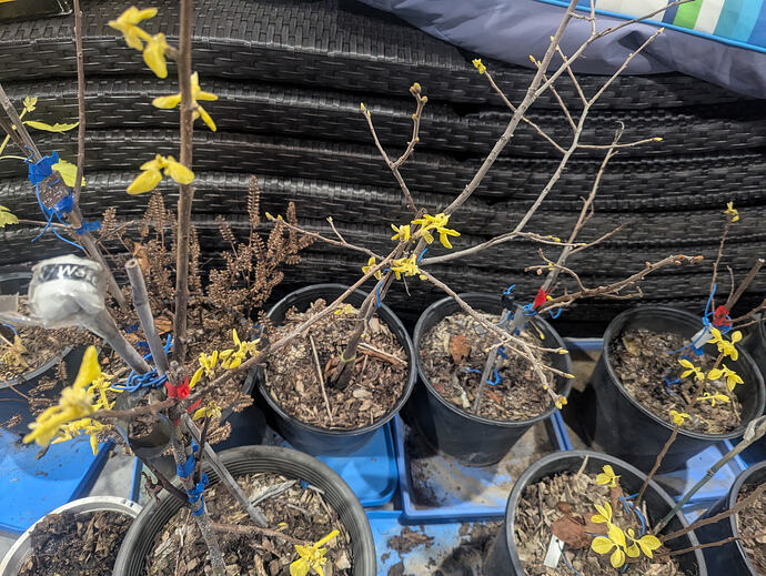 PXL_20260120_040306612