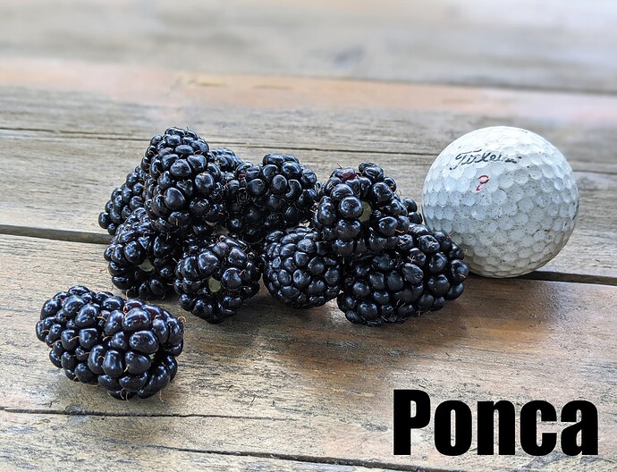 Ponca_2025