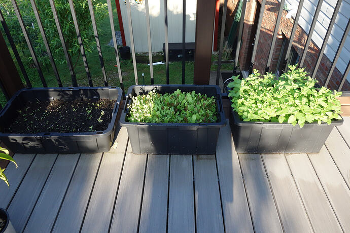 garden deck (1)