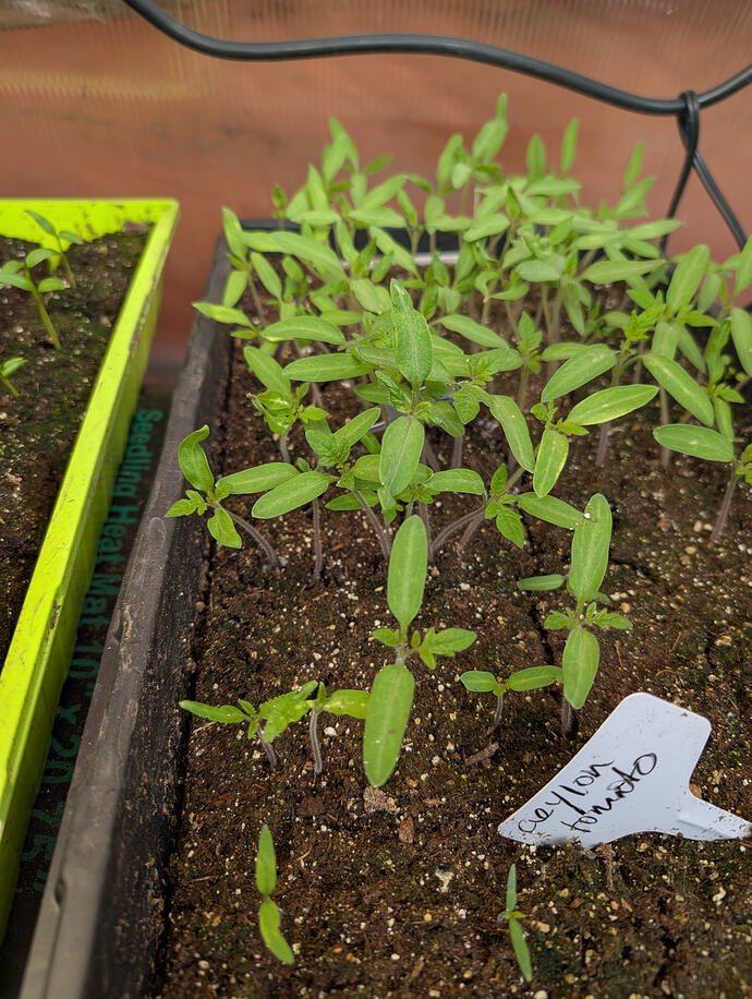 PXL_20260226_223731642