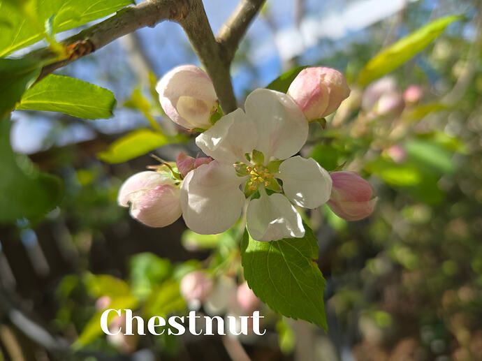 20260331_134307 (2026-03-31T20_57_56.303)