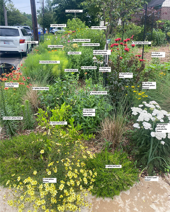 native plant garden labels