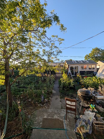 PXL_20250630_025955229
