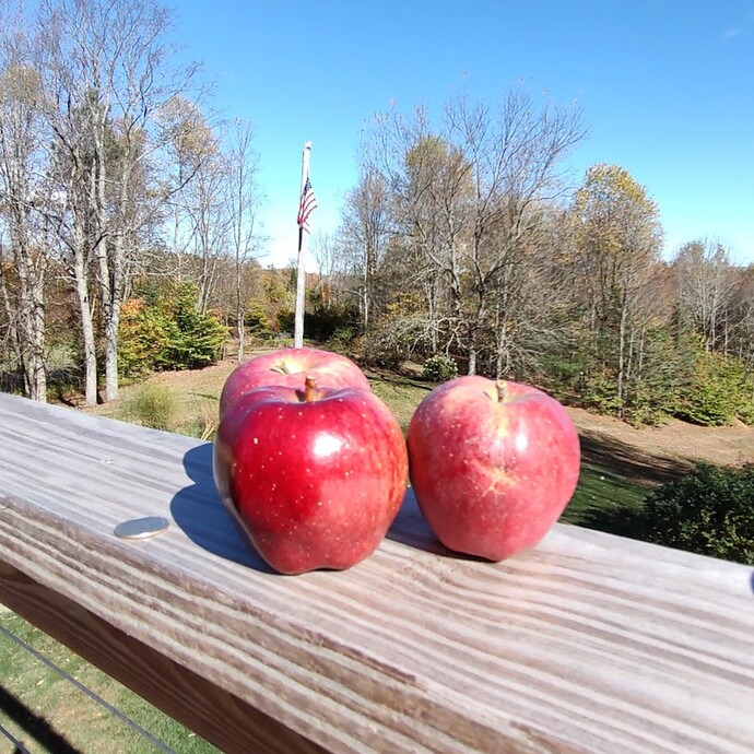 IMG_20251009_105104808