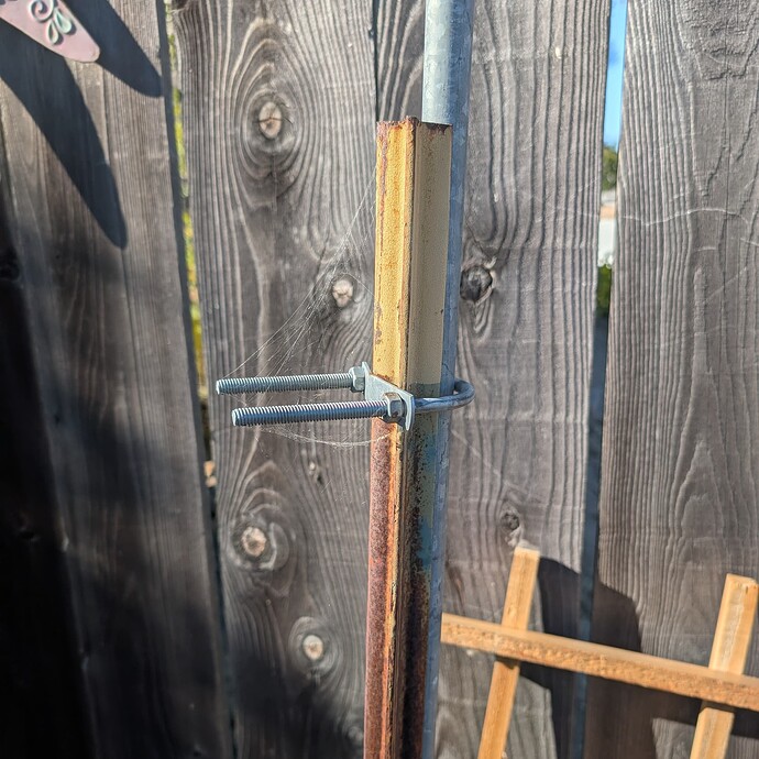 PXL_20251016_225539045